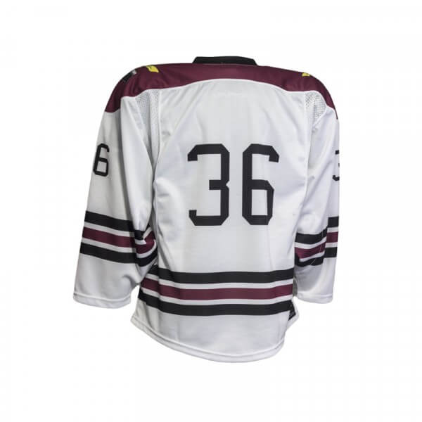 Swarm Back Custom Ice Hockey Jersey